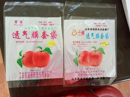塑料果袋供应商-常兴果袋(在线咨询)-塑料果袋