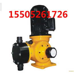 浙江4000L计量泵 4000L机械计量泵生产