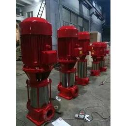 河北华奥水泵(图)_多级消防泵参数_赤峰多级消防泵
