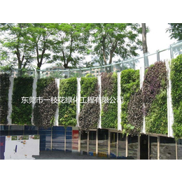 一枝花绿化(多图)-绿化墙工程
