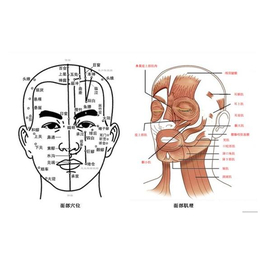 *培训机构-泰安中韩医美健康咨询-丹东*培训