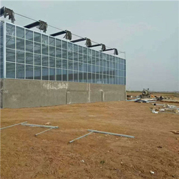 福州玻璃温室大棚-玻璃温室-龙岩玻璃温室建设