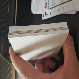 白色橡胶输送带质量_白色橡胶输送带_宏基橡胶