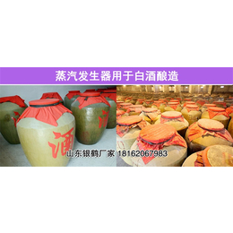 滨州蒸汽发生器_酿酒蒸汽机厂家_50kg蒸发量蒸汽发生器