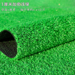 人造草坪塑料假绿植*园人工草皮户外装饰绿色地毯垫子缩略图