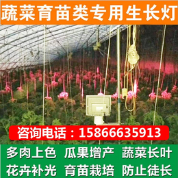 荆州植物灯、必然科技、植物灯怎么买