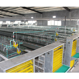 佳木斯肉种鸡养殖生产设备- 大牧源机械