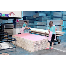 森骏板材(图)、木工板尺寸、遵义木工板
