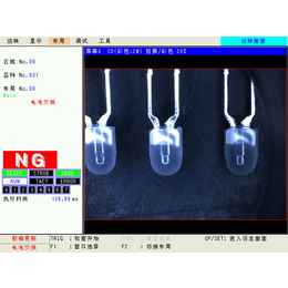 ccd视觉检测技术、奇峰机电(在线咨询)、视觉检测