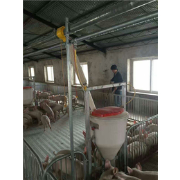 自动养猪料线品牌_牧鑫养殖设备(在线咨询)_自动养猪料线
