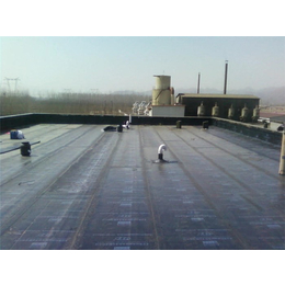 拱墅屋顶漏水处理-屋顶漏水处理-海兰防水(查看)