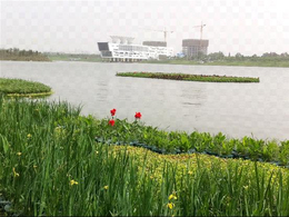 人工浮岛-南京华州环境工程-无锡浮岛