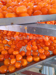 杭州食品烘干机-南海和隆包装-食品烘干机价格