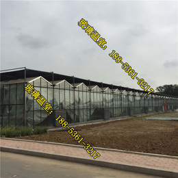 玻璃温室,安徽玻璃温室大棚施工队,五千平玻璃温室的建设费用