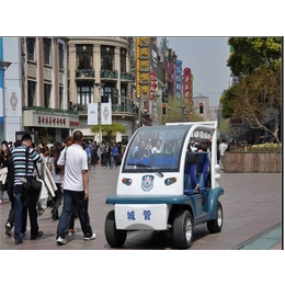 电动巡逻车-朗晴1条龙-全封闭电动巡逻车