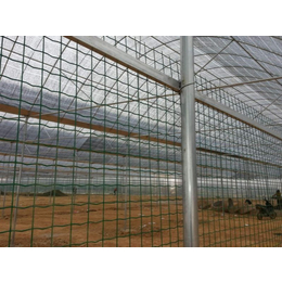 圈地围栏网厂家-江阴圈地围栏网-绿色卷网