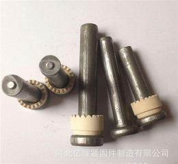 焊钉定制-特速金属制品(在线咨询)-山西焊钉