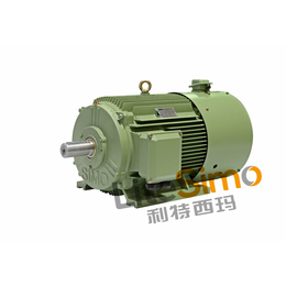 西安西玛变频电机YJTG YVFE23552-4 375KW