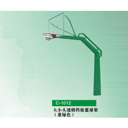 室外固定篮球架多少钱一个,蚌埠固定篮球架,冀中体育公司(图)