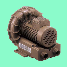 LHW205A1.1泵、泰拉尔VKP-H(在线咨询)、泵