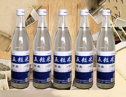 白酒品牌-甘南白酒-五粒米酒