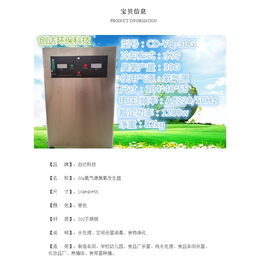 创达臭氧机30g氧气源臭氧发生器工业用食品厂*车间水处理