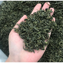 散装绿茶批发商-峰峰茶业(在线咨询)-散装绿茶