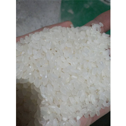 【宴宾米业】|天然米批发