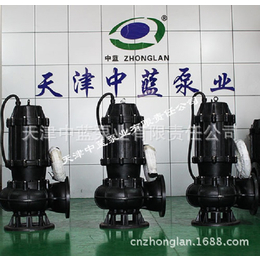 天津 WQ污水污物处理用泵 不堵塞