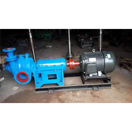 程跃泵(在线咨询)-加压杂质泵-加压杂质泵型号