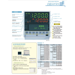 电子式温控仪型号_台州电子式温控仪_科能(查看)