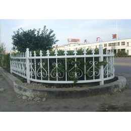 绿化带护栏生产、上海绿化带护栏、安平县领辰