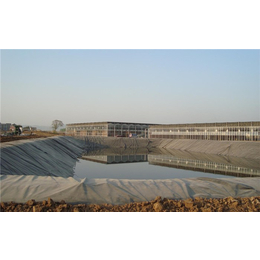 土工膜|硕泰、防水板生产 厂家|光面土工膜价格