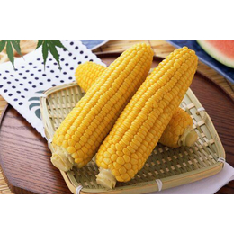 大量求购玉米和小麦_汉光现代农业(在线咨询)_太原求购玉米