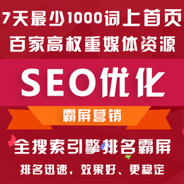 广州网站推广 SEO网站优化 网站运营推广 全网整合营销