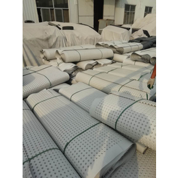 供应种植绿化屋顶排水板h12卷材排水板价格