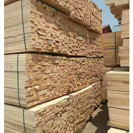 建筑木方木材加工厂-木材加工厂-杨林木业(查看)