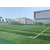 硅PU足球场建设、中江体育、江阴硅PU足球场建设缩略图1