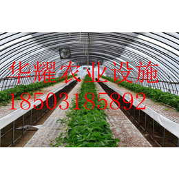溫室大棚種植-溫室草莓-溫室種植技術