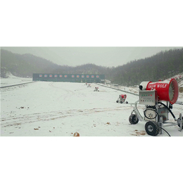 供应河南人工造雪机不受气候影响  滑雪场造雪机厂家*