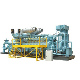 燃气发电机-年丰动力-陕西燃气发电机维修