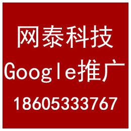 沾化网站优化公司,淄博网泰科技,滨州网站优化公司