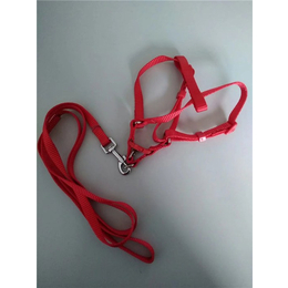 兴达织带精制而成(图)|光丝宠物织带|珠海宠物织带