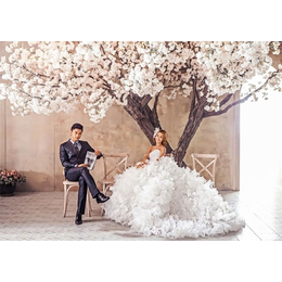 海南婚纱照公司|玉儿摄影(在线咨询)|婚纱照