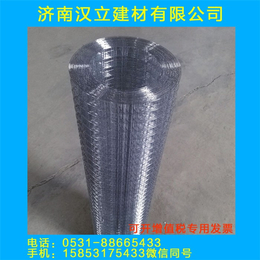 大丝电焊网-汉立建材-山东电焊网