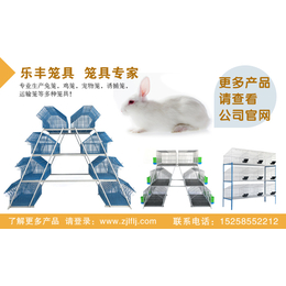 全自动智能化兔笼,乐丰笼具,台湾兔笼