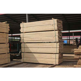 辰丰木材(在线咨询)-樟子松建筑木方-樟子松建筑木方供应商
