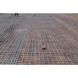 上海钢塑土工格栅-泰安路飞复合材料(图)-钢塑土工格栅批发