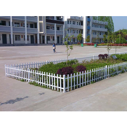 道路绿化带围栏*,安平县领辰,广安道路绿化带围栏