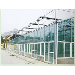 玻璃温室,鑫和温室园艺公司,玻璃温室建设